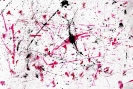 Action-Painting_6