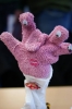 Kleine Monster_1